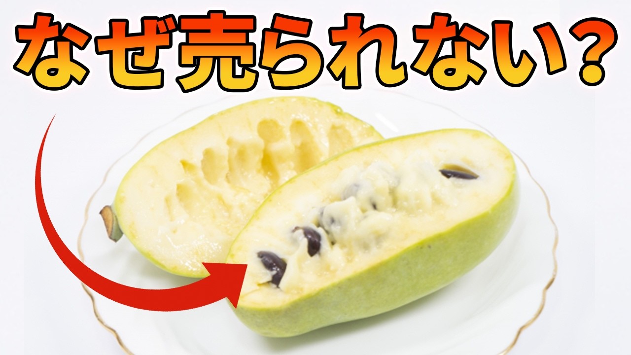 カスタード級に甘い果物ポポーがスーパーに並ばない理由【解説動画】