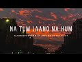 Na Tum Jaano Na Hum Slowed Reverb Lucky Ali Infamous Playlist