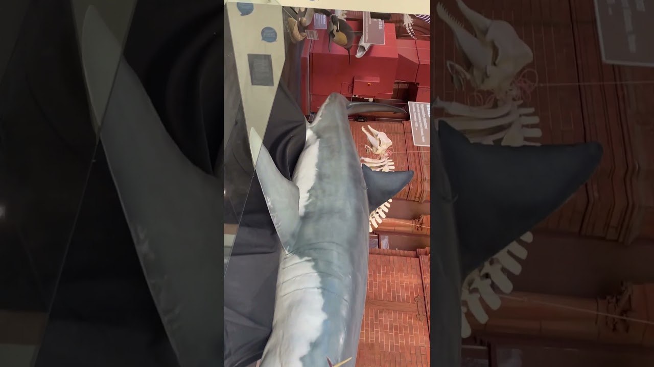 YouTube Short thumbnail