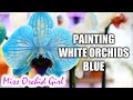 DIY Blue Orchid - How blue Phalaenopsis Orchids are made
