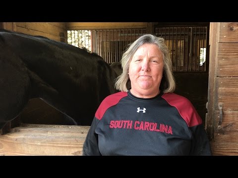 Boo Major Equestrian Update — 3/2/17