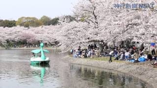 明石公園