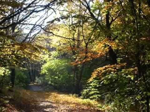 Lovebeads -- This Is The Only Way (Heller & Farley Project Mix)