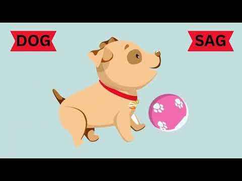 Animals | Educational Video | Bilingual Learning