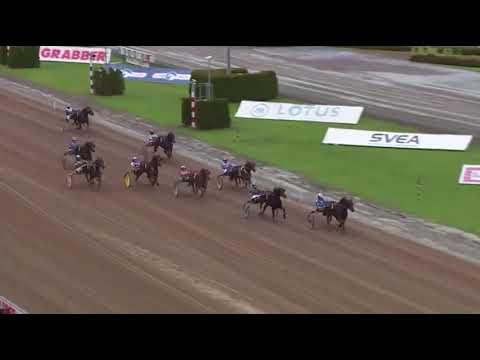 Viking Harry Clanger