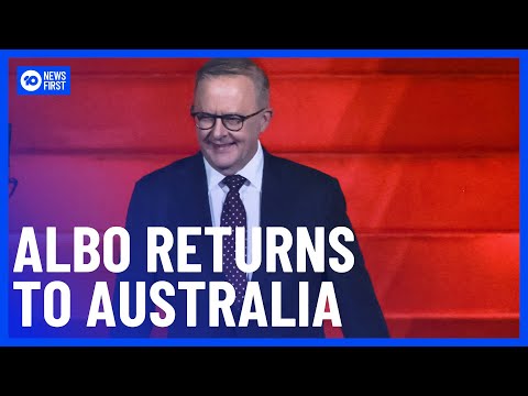 Australian Labor Party Campaign Guru Gives Broken Coalition Advice | 10 News First