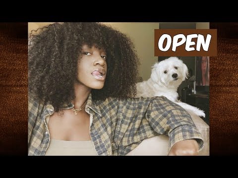 Lexxy - Open