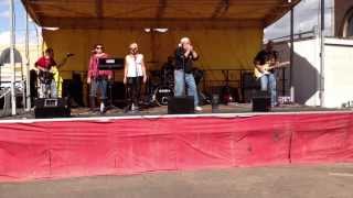 Too Close To The Sun (by The Nu Blues Band)