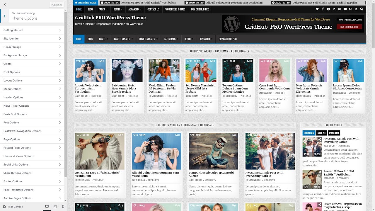 Customizer Theme Options - GridHub PRO WordPress Theme