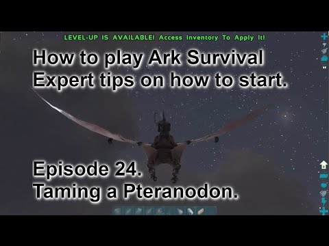 Ark Survival Evolved. From the beginning. Taming a pteranodon.