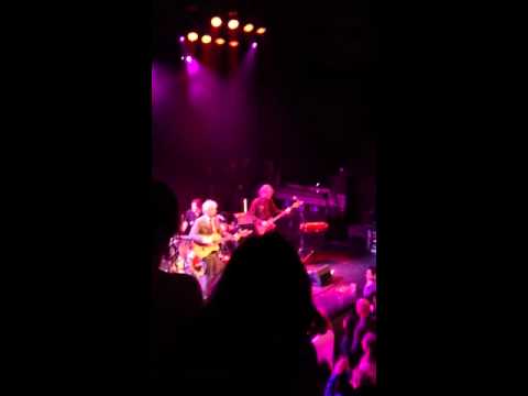 Spinvis - Wespen op de appeltaart