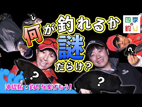何が釣れるか謎だらけ?沖堤防で釣りを楽しもう!(四季の釣り/2023年5月5日放送)