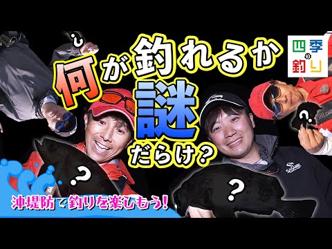 何が釣れるか謎だらけ？沖堤防で釣りを楽しもう！（四季の釣り/2023年5月5日放送）