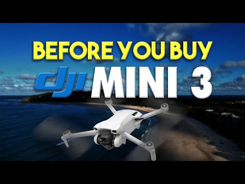 DJI Mini 3 Drone Review: The Ultimate Guide Before You Buy | DansTube.TV