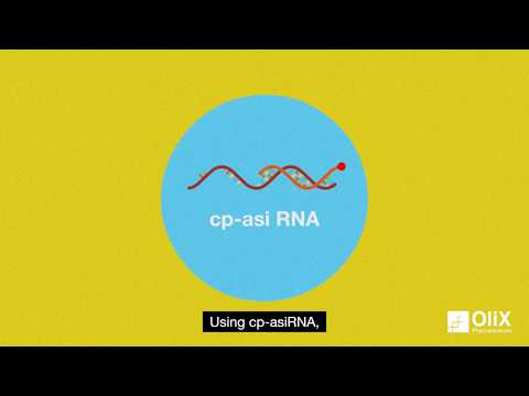 DNA, RNA and cp-asiRNA