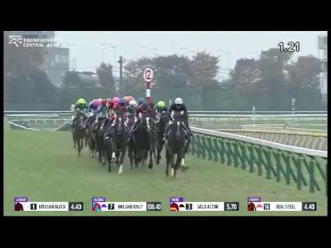 Japan Cup 2016 - Kitasan Black