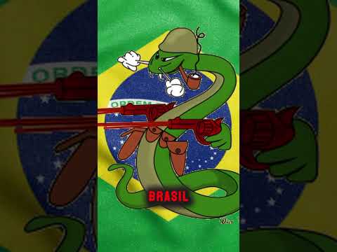 THE BRAZILIANS in the SECOND WORLD WAR were INSANE!