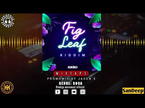 Fig leaf riddim mix - Jason X / 2020 soca promomix