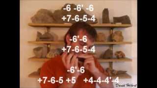 Harmonica &quot;Aux Sombres Héros de l&#39;Amer&quot; - Noir Désir - Tab