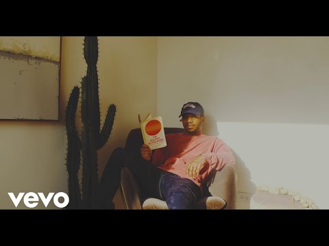 Kota the Friend - Pomegranate