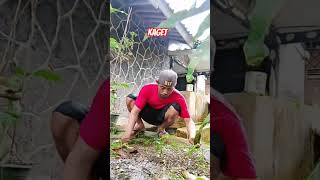 Download lagu Asli #lucu #funny #ngakak mp3