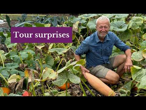 August No Dig Garden Tour – Harvests, Successions & New Plantings at Homeacres