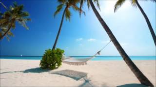 Shane 54 - Paradise (M.I.K.E. Push Transcental Remix)