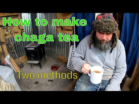 How to make chaga tea/coffee [from powder or chunks]