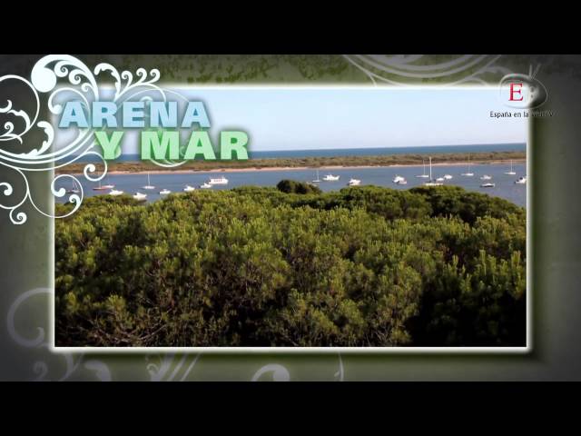 Cartaya. España en la web TV