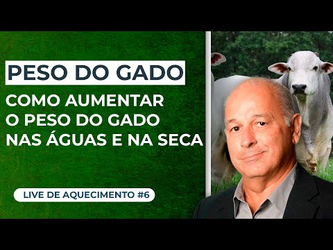 , title : 'COMO AUMENTAR O PESO DO GADO NAS ÁGUAS E NA SECA #6'