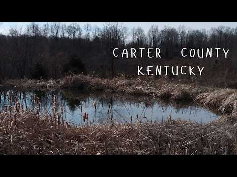 Odcr Carter County