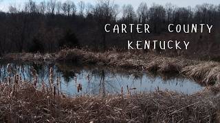 Carter County Kentucky Loran Joly