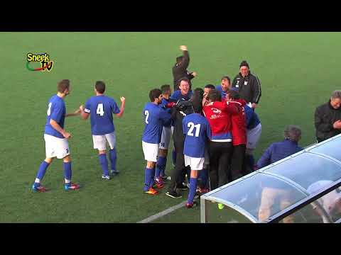 Archief: Samenvatting SWZ Boso Sneek - NEC