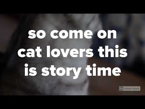 I am the Cat mommy Ruhina