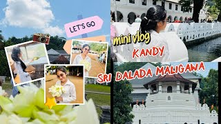 Download lagu     නව රන්කරඩුව තැන්පත් කරපු දවසෙ 🙏 හැමෝම දන්න ඒ සුන්දර තැන 😍🌈 mp3