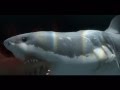 Jaws Unleashed PS2 Opening Movie
