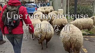 パリのお散歩 - 不思議な道 une rue mystérieuse