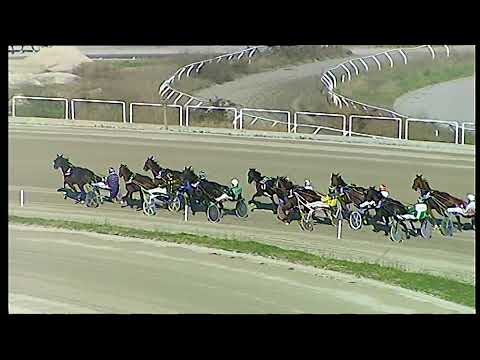 Napoli Trotto 31/12/2021 - 2ª corsa