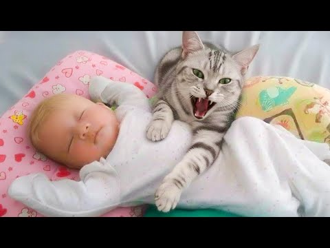 Cats Protecting Babies Like Their Own Kittens 😘😸 Part 2