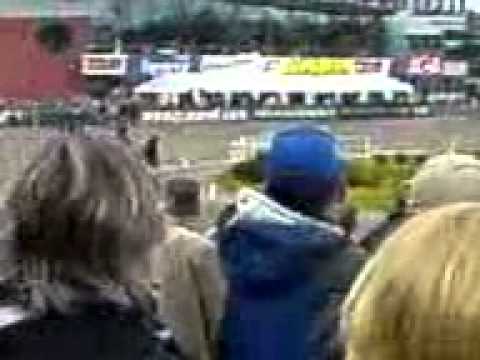 Elitloppet 2006