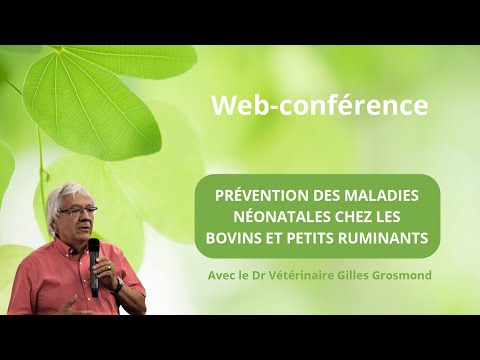 , title : 'Web-Conférence : Prévention des maladies néonatales chez les bovins et les petits ruminants'