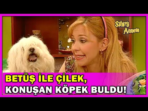 Betüş ile Çilek, Konuşan Köpek Buluyor! - Sihirli Annem Özel Klip