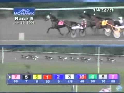 Armbro Flight Stakes 2008 -Falls For You