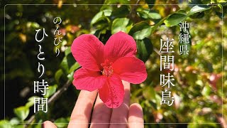 【沖縄🇯🇵座間味島】Vlog🎥予期せぬ一人旅時間〜渡嘉敷島で友達と合流の1日！座間味島での新しい過ごし方♡
