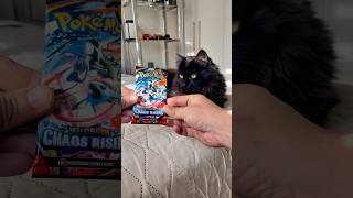 T2EP39 | ¿Mi gato encontró el HIT? 😹🔥 Chaos Rising Pokémon TCG #tarjetaspokemon