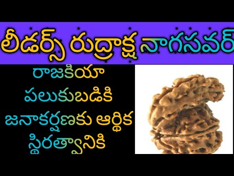Naga Sawar Rudraksha Benefits | naga rudraksha | one muki sawar |