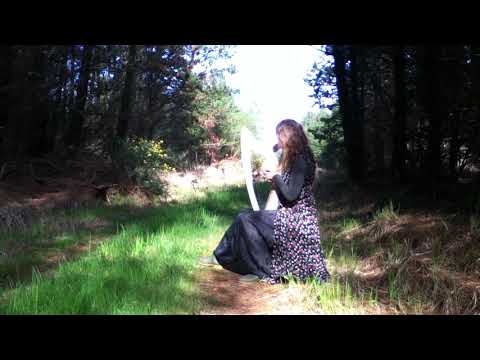 Beginner Harp 20 strings (Derwent Adventurer) - Image 2