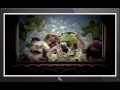 Sesame Street Episode 2787 Part 2 Segments Only H264 848x480