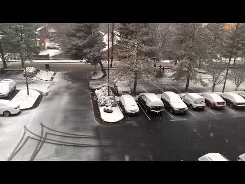 It's snowing! 1-31-2021