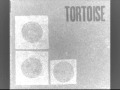 TORTOISE - Onions wrapped in rubber